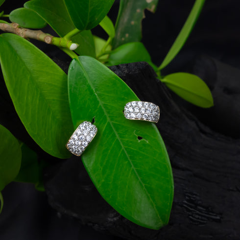 Royal Grace Earrings - D105